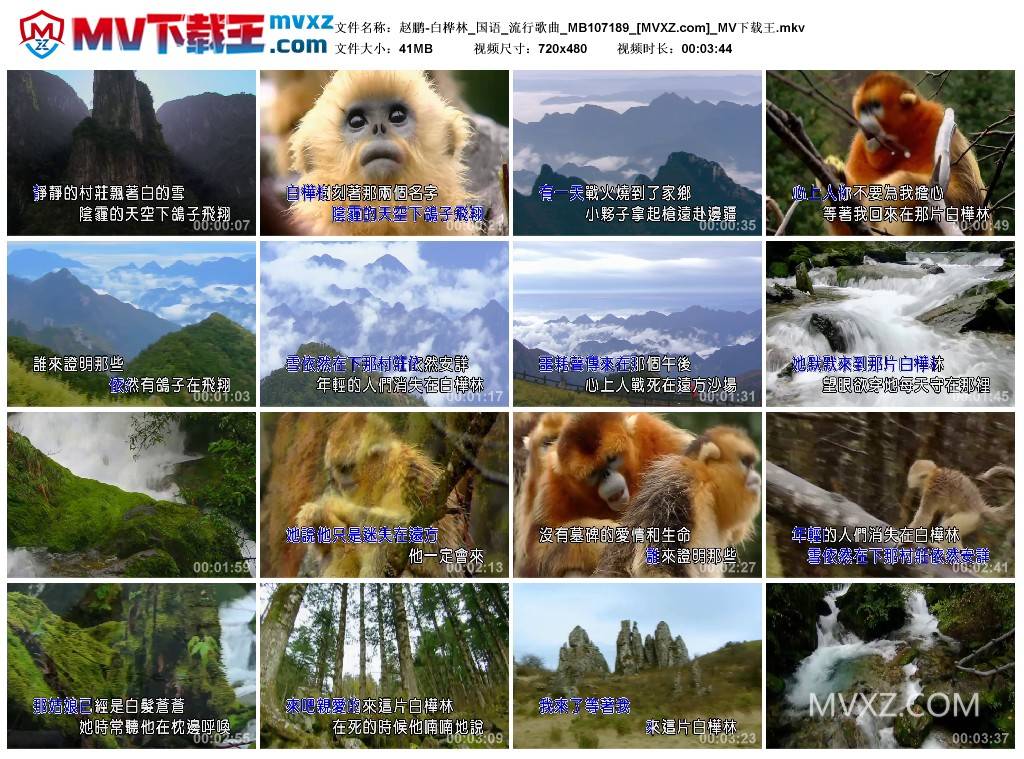 赵鹏-白桦林_国语_流行歌曲_MB107189